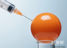 试管婴儿移植后十大注意事项：科学调养提高成功率